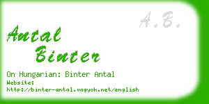 antal binter business card